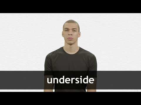 UNDERSIDE definition in American English Collins English Dictionary