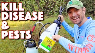 Our Go To Spray To Combat Disease And Pests On Our Fruit Trees! (Organic)