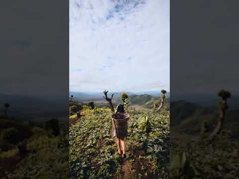 Some place to get Lost🌿 || Zuni Thwdam