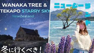 冬に行くべき！ニュージーランド・テカポ｜世界が恋する木と満点の星｜Wanaka Tree & Tekapo Starry Sky, NZ Day2
