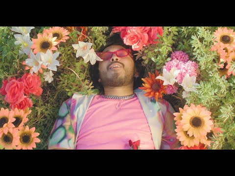 The 1-800 - Magnolia (Official Music Video)