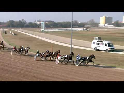 2019.10.26. 01. futam - EXPLOIT CAF DÍJ - NYERETLEN KÉTÉVESEK VERSENYE