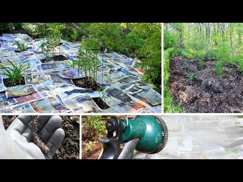 Cómo mantener un jardín libre de malas hierbas sin herbicidas ni productos tóxicos