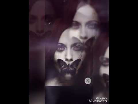 SPITT -  SCHMETTERLING