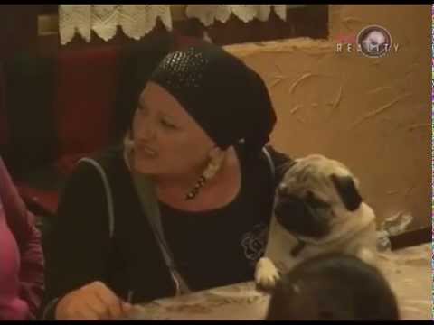 Filip Panajotovic preti Vesni Rivas