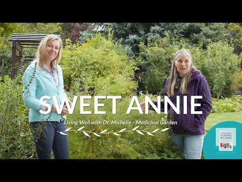 Michelle Jorgensen & Marjory Wildcraft - The Health Benefits Of Sweet Annie