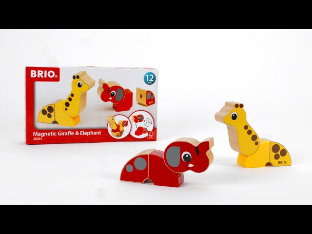 YouTube Video -