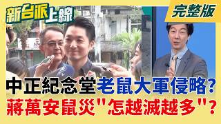 新台派上線 20260512
