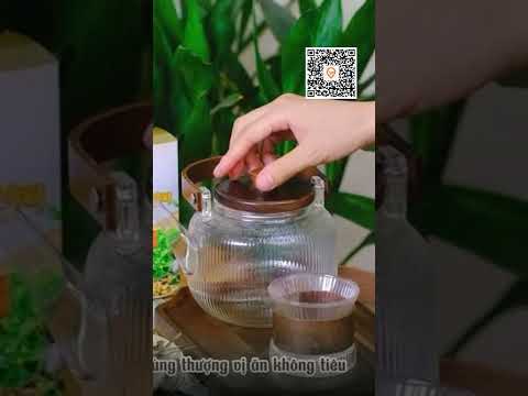 Trà Cây Rau Mương Diếp Cá Nấm Linh Chi nước trà tốt cho dạ dàyhp(30TÚI LỌC)/1HỘP