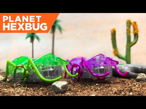Planet HEXBUG - Episode 2: The Micro Ant