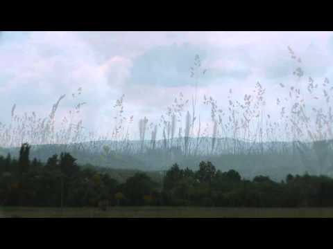 Sat Tarzia com Brusturi Vatra Satului