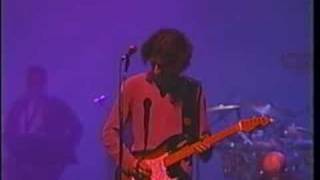 Niurka Implicada con Presuntos