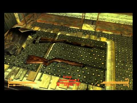 Lets Survive : Hardcore Fallout New Vegas Part 1