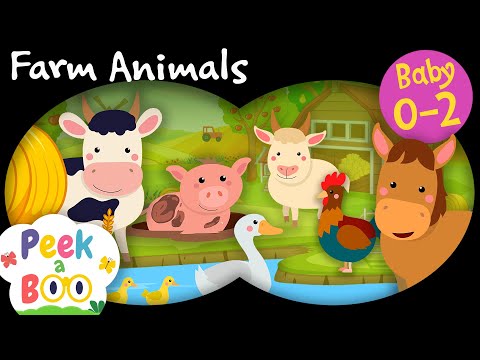 Peek a Boo #4 | Farm Animals | Educational Series for Babies 0-2 - YouTube