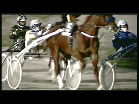 Trotto 28/02/2020 - 7ª corsa