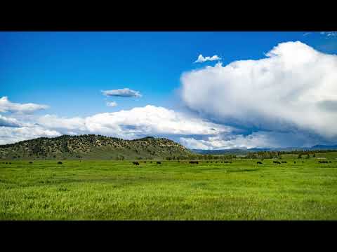 Grand Teton National Park Bison and Storms Timelapse