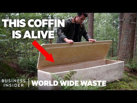 Mushroom Coffins Turn Bodies Into Compost And Make Death Less Toxic | World Wide Waste