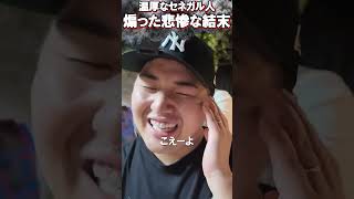 久しぶりの菊ちゃん滑舌が深海魚【がーどまん】