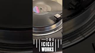Icicle Works - Whisper To A Scream (Birds Fly) (Arista, 1984) #shorts