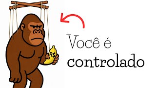 Quem realmente controla o dinheiro (e você não percebe)