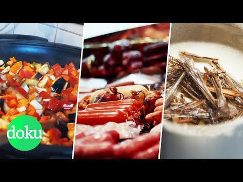 Vegan, Fleisch oder Insekten - Was ist am besten? | WDR Doku