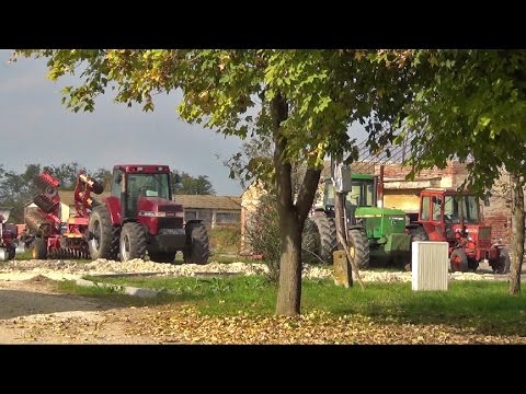 Kishantosi területbejárás - 2014. október 7.