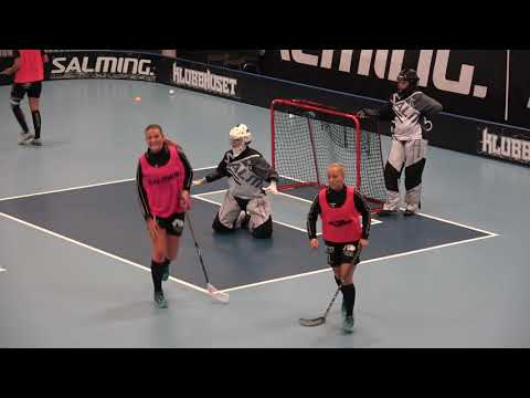 190224 Allsvenskan Dam Södra Lindås Rasta IBK -  Röke IBK (3-4) Uppv.