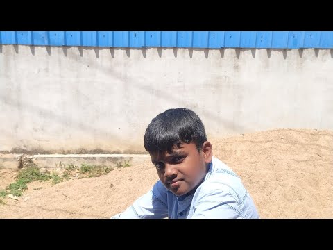 Feeding dogs food part 1 wednsday/22/march.2023