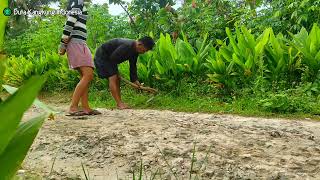 Download lagu Full Album Yoyo Suwaryo || Sang Legenda Tarling Cirebonan Dan Dangdut Dermayon Yang Populer  mp3