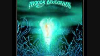 Moody Bluegrass - The Voice, Legend of a Mind, I'm Just a Singer, Nights in White Satin/Late Lament