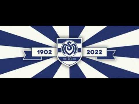 Die Zebras sind zurück