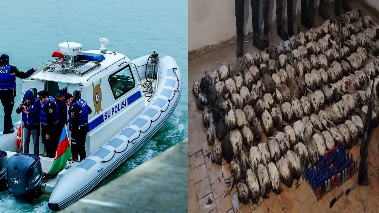 “Qırmızı Kitab”a düşən çöl quşlarını ovlayan şəxslər tutulub