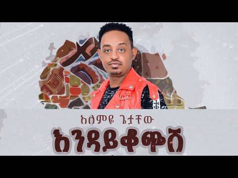 Alemye Getachew - Endaykochesh /  እንዳይቆጭሽ - New Ethiopian Music 2024 [Official Video]