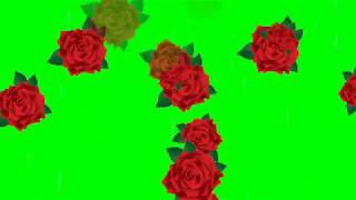 Flowers Falling Green Screen Animation For Whatsap