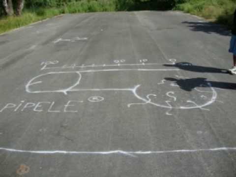 Aldis dregeris-Pipelîte Gudriniece