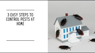 3 Easy Steps to Control Pests at Home