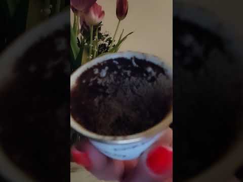 Weekend Cup 6 - 7 - 8 March 2026 (0723763917)