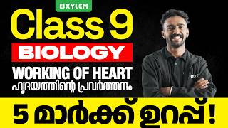 Class 9 Biology | Onam Exam 2026 | Working of Heart—5 മാർക്ക് ഉറപ്പ്! | Xylem Class 9