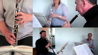 Lonarc Oboe Trio  play Rondo (4th movt) from Johann Wenth's Divertimento in Bbmaj