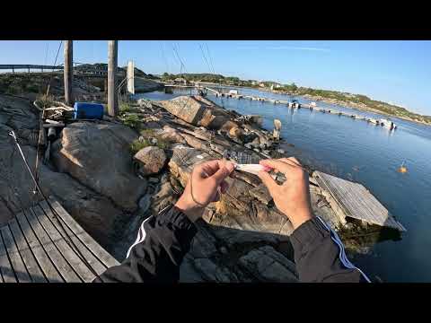 First Time Fishing the Swedish Coast – Did I Catch Anything?!