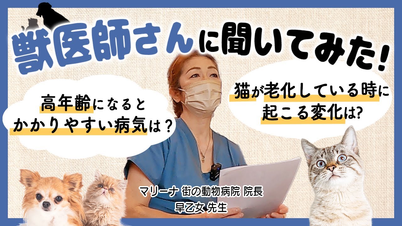 【獣医師が解説】老犬・老猫になる前に知っておきたいこと｜シニア犬猫の健康Q&A