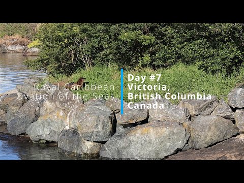 Thumbnail for Ovation of the Seas Day#7 Victoria, Canada