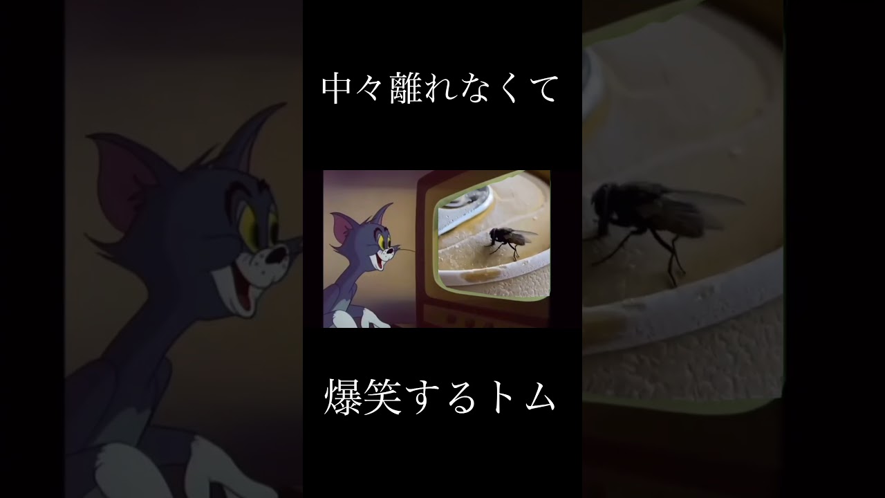 中々離れなくて爆笑するトム #shorts