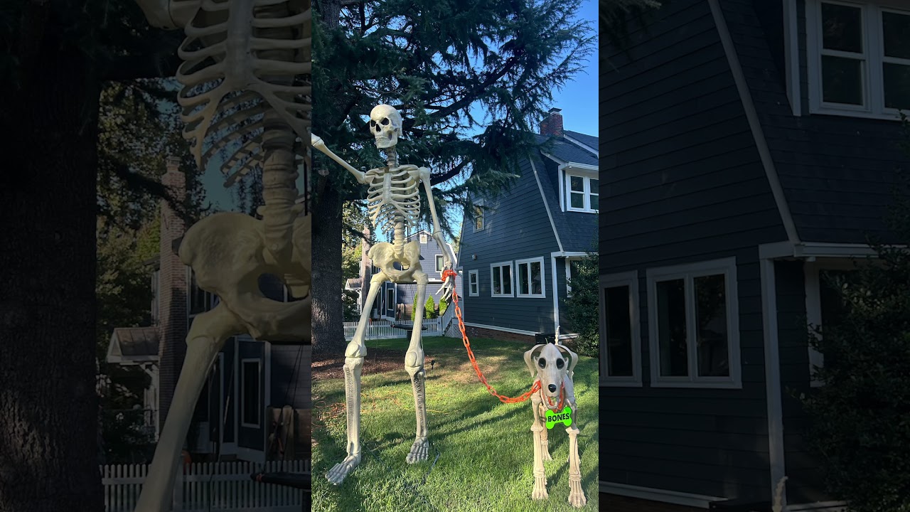 #creepy #holloween #funny