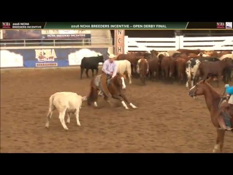 2016 Open Derby Breeders Incentive Champion SORTA SMOOTH - Scott Campbell