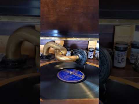 The Hooking Cow Blues - Handy's Orchestra of Memphis Columbia Records #2420 1917