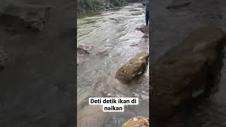 Download lagu Joran Melengkung Tajam #shorts #viral #mancing #ikan mp3