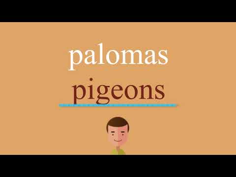 Cómo se dice palomas en inglés
