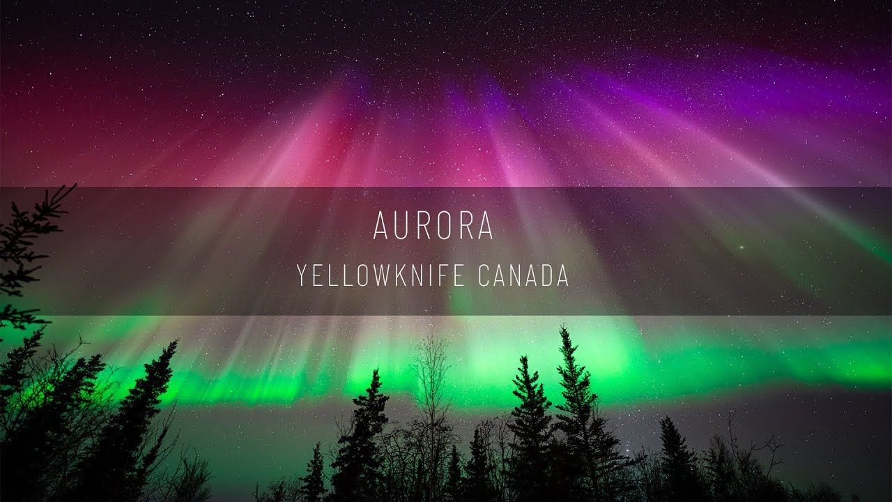 [番外編] イエローナイフのオーロラ 2025年3月
