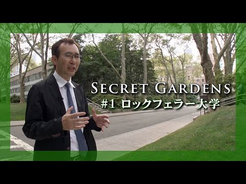 福岡伸一さんのSecret Gardens#1/ ロックフェラー大学
